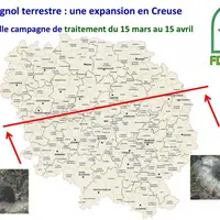 Expansion du campagnol terrestre.