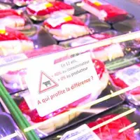 Un stickage des barquettes de viande a été effectué à Leclerc - Limoges. De nombreuses actions de ce type ont suivi en Creuse, Corrèze et Haute-Vienne