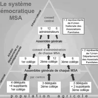 Le système démocratique MSA.