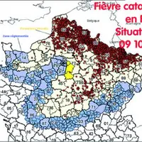 Au 9 octobre, plusieurs nouveaux cas de fièvre catarrhale viennent d'être confirmés par l'AFSSA Maisons-Alfort dans les départements du Cher, de Côte