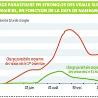 La date de naissance influe fondamentalement sur la dynamique d’infestation au niveau des prairies. Cela implique donc une approche spécifique de la g