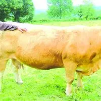 Pascal Noel, un repreneur originaire de l'Aveyron.