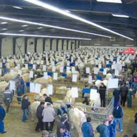 Une vue d'ensemble de la foire