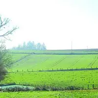 Le préfet de région, les parlementaires et élus régionaux ont donc visité mardi l'EARL Adam à Flavignac, en Haute-Vienne.