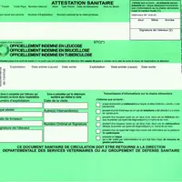 Lors de l’échange d’un animal, le vendeur et l’acheteur doivent être attentifs à la bonne utilisation des ASDA (dater, signer, compléter, etc.) ainsi
