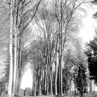 BPA Travaux Forestier