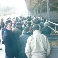 Les participants visitent les lots en essai.
