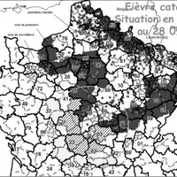 La progression rapide de la fièvre catarrhale selon un axe nord-est / sud-ouest a entraîné une mise en zone de protection de le 'ensemble de la Creuse