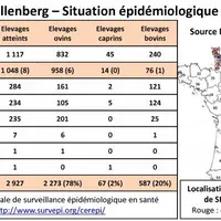 Le virus de Schmallenberg a connu une large diffusion géographique avec une forte prévalence dans les zones concernées comme le montre l'enquête sérol