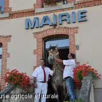 Si certains hommes montent les marches de l’assemblée nationale, les chevaux aussi savent monter les marches de la mairie de Cressat.