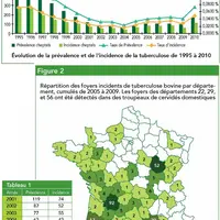 Des adaptations du plan de lutte historique contre la tuberculose, comme l’instauration de l’abattage total en 1999, ont permis de réduire considérabl
