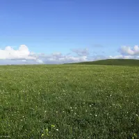 La diversité des prairies est un atout.