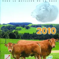 Pour la première fois, une nouvelle gamme de taureaux fait son apparition : les taureaux porteurs hétérozygotes du gène « sans corne ». Cette année Cy