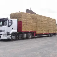 Ce camion est arrivé à Crozant le 20 juin. Les deux premiers l’ont précédé le 16 juin à Ajain et Saint-Vaury.