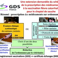 GDS France a demandé au niveau national de pouvoir reconnaître la vaccination du cheptel souche par l’éleveur. Celle-ci entrerait dans le schéma appli