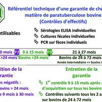 Sachant que tout cheptel adhérent au HBL est soumis à un dépistage de la paratuberculose, cela implique que lors de toute introduction de bovin limous