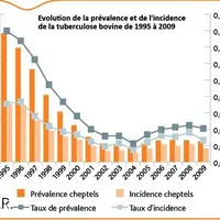 La France est reconnue comme territoire officiellement indemne de tuberculose (taux de prévalence inférieur à 0,1 %). En 2009, la prévalence de la tub