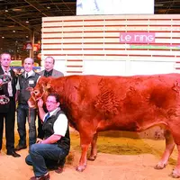 Usebi au Gaec Aucomte (87), 984 kgs, a été acheté par le restaurant Hall West à Limoges pour 8 600 euros.