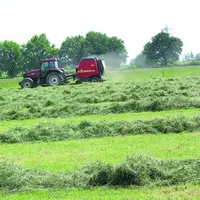 L'autonomie fourragère est essentielle en élevage allaitant.