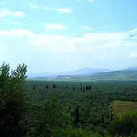 La Grèce devra rembourser 105,5 millions d’euros pour des déficiences constatées dans le système de contrôle du coton et 18,5 millions pour des insuff