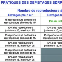 Le dépistage Aujesky reste maintenu dans les élevages plein-air, de sangliers et chez les sélectionneurs multiplicateurs alors qu’il est supprimé dans