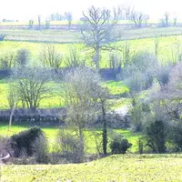 Les haies constituent un atout majeur dans le paysage : protection, écoulement, vie, énergie, paysage.