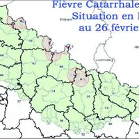 L'épisode de Fièvre Catarrhale Ovine apparu au nord de la France en août 2006 a impliqué de très lourdes conséquences pour les éleveurs des zones régl