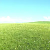En 2008, les surfaces toujours en herbe représentaient près de 950 000 ha en Auvergne.