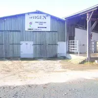 Station Optigen