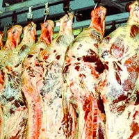 La création de valeur ajoutée, un axe fort du Projet Agricole Départemental qui  'appuie sur la finition des bovins sous signes de qualité.