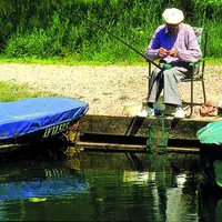 La raison essentielle du bas niveau des retraites est la faiblesse du revenu des agriculteurs, selon les syndicats d’exploitants agricoles dans leur e