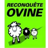 Dans le cadre des orientations techniques de la « reconquête ovine », un groupe de travail national (GDS, fédérations ovines, organisations de product
