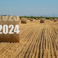 2024 champ