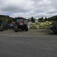 Collecte collective de plastiques agricoles à Châteauneuf-de-Randon, le 25 mai.