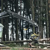 La progression du prix des forêts est à relier à la hausse du prix des terres agricoles.