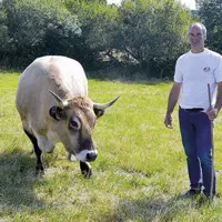 Patrick Mouliade, président de l’association Bœuf fermier Aubrac.