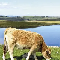 Le 16 octobre, une centaine de personnes ont participé à la conférence organisée en visio par la communauté de communes Aubrac-Carladez-Viadène et la