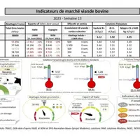 Comme chaque mercredi, voici les indicateurs de marché viande bovine, proposés par la FNB pour faciliter la lecture du marché de la viande bovine par
