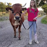Vingt ans après sa première montée au salon de l'agriculture, Éric Chabalier revient à ce concours phare avec Nuageuse, une belle vache racée qui s'ét