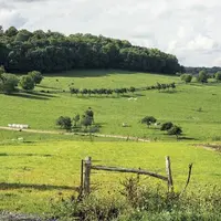 Dans un document envoyé aux professionnels, le ministère de l'Agriculture a dévoilé ses « axes » de travail pour la refonte de la HVE. Ils incluent no