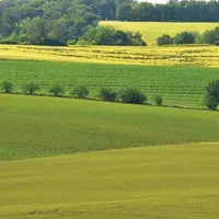 La Première ministre veut créer des « régions pilotes » pour certaines politiques publiques, notamment en matière d'agriculture. L'annonce intervient
