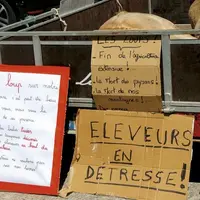 La demande en référé suspension déposée par l'association animaliste One Voice pour suspendre l'arrêté de tir de prélèvement du loup en Lozère et Haut