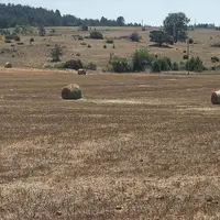 La CNGRA a validé la demande de reconnaissance pour l’ensemble du département, le taux de perte retenu est de 35 % excepté pour deux communes : Saint-
