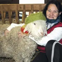 Sandra Hobeniche affectionne et bichonne ses chèvres et tout particulièrement Zaza, l’égérie de toutes les collections.