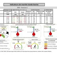 Comme chaque mercredi, voici les indicateurs de marché viande bovine , proposés par la FNB pour faciliter la lecture du marché de la viande bovine par