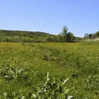 Le 16 octobre en visioconférence, les acteurs du territoire Aubrac-Carladez-Viadène vont trouver les moyens de valoriser ensemble leurs productions d’