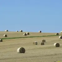 Avec trois textes réglementaires publiés au Journal officiel fin mars, le gouvernement a officialisé le cadre des écorégimes, en précisant les modes d