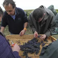 Les travailleurs permanents ne représentent qu’une partie du nombre total de personnes employées dans le secteur agricole. L’essentiel du travail est