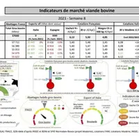 Comme chaque mercredi, voici les indicateurs de marché viande bovine, proposés par la FNB pour faciliter la lecture du marché de la viande bovine par