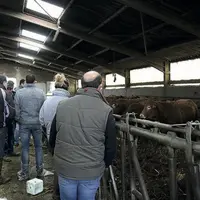 L’après-midi les membres du syndicat ont visité le Gaec des Balachs à Gabrias.